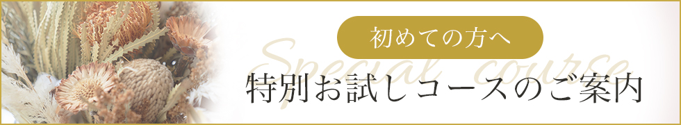 特別お試しコースのご案内